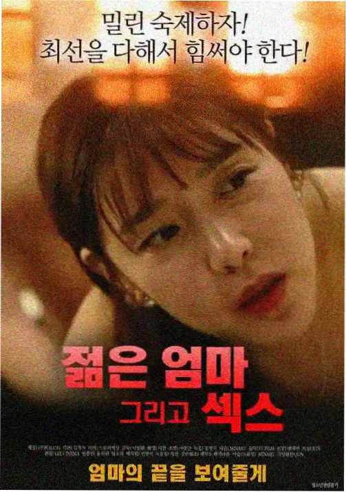 小蜂奇航